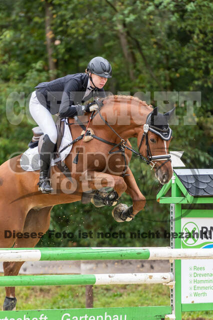 Vielseitigkeit RSV Wesel Obrighoven (26.+27.09.2020)