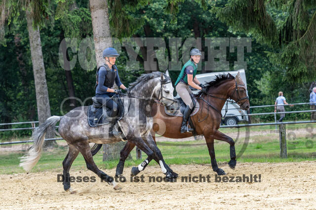 Hunter Geländetraining 10.07.2021 (Sonsbeck)