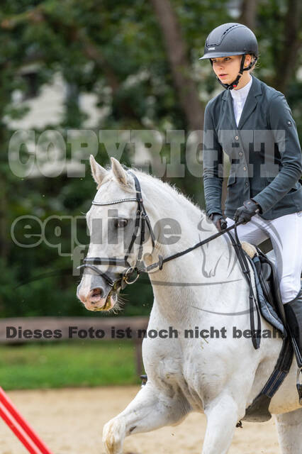 Vielseitigkeit RSV Wesel Obrighoven (26.+27.09.2020)