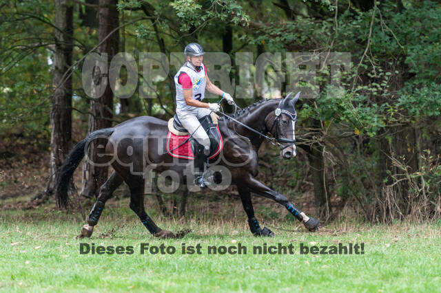 Vielseitigkeit RSV Wesel Obrighoven (26.+27.09.2020)