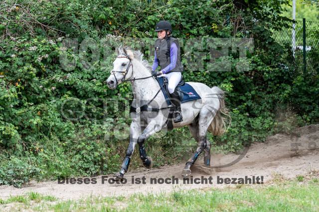 Late-Entry-Vielseitigkeit Langenfeld (11.+13./14.06.2020)