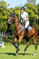 Kronenberg - De Peelbergen (August 2020)