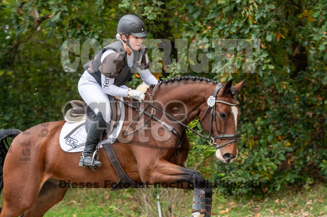 Goldene Schärpe 2020 - Pferde