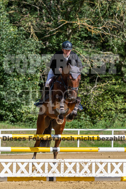 RFV Dinslaken-Hiesfeld (Herbstturnier)