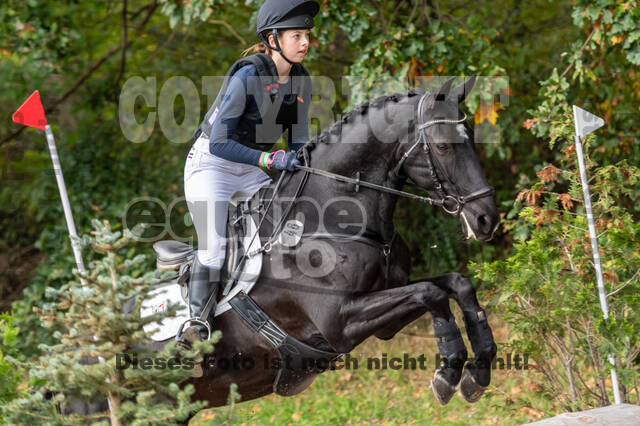 Reiter Schleswig-Holstein