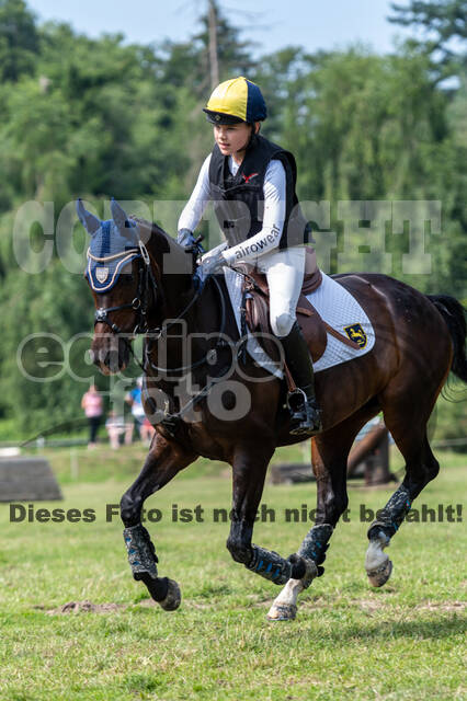 Goldene Schärpe 2021 - Ponys