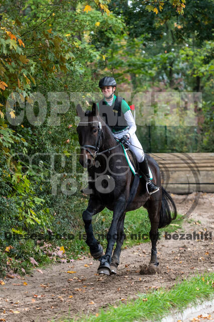 Goldene Schärpe 2020 - Pferde