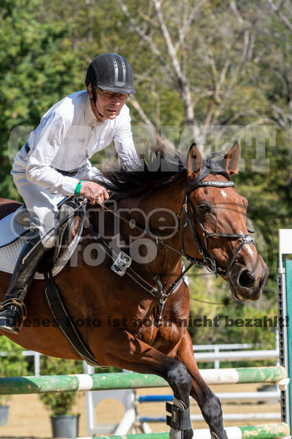 RFV Dinslaken-Hiesfeld (Herbstturnier)