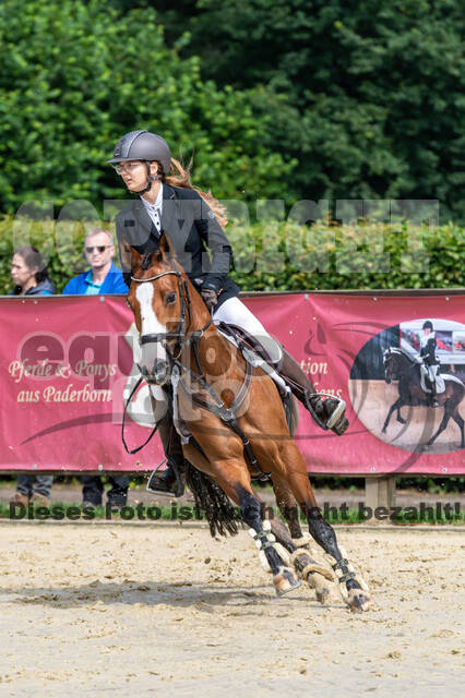 Goldene Schärpe 2021 - Ponys