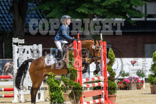 Goldene Schärpe 2021 - Ponys