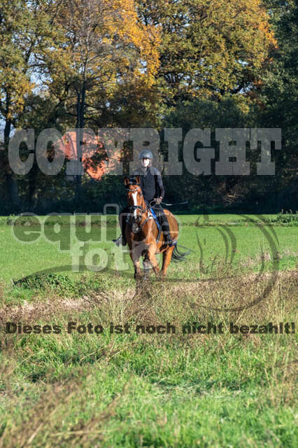 Vielseitigkeitslehrgang mit Jürg Kurbel (9.+10.11.2019)