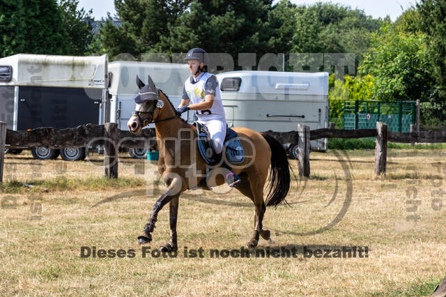 Late-Entry Vielseitigkeit Hamminkeln/Wesel (01.+02.08.2020)