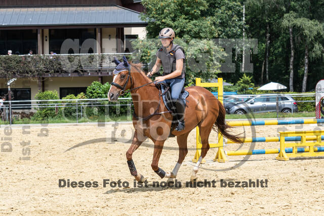 Hunter Geländetraining 10.07.2021 (Sonsbeck)