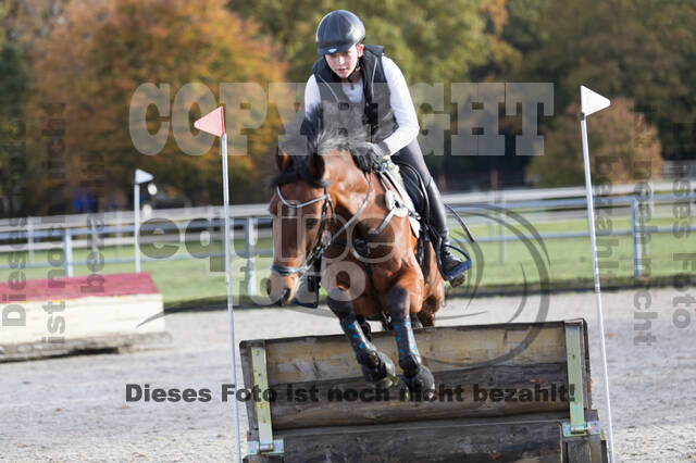 IGV Lehrgang der Sieger der Cups mit Frank Ostholt