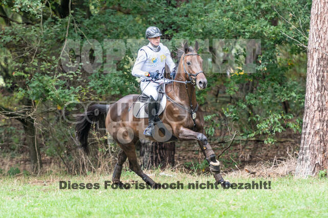 Vielseitigkeit RSV Wesel Obrighoven (26.+27.09.2020)
