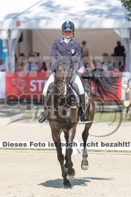 FEI European Championship