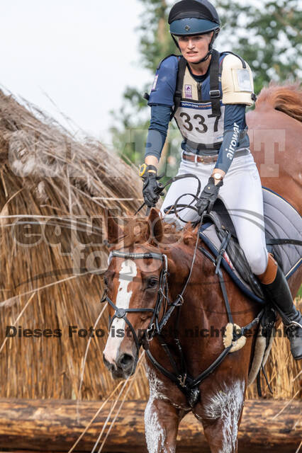 De Peelbergen (August 2020)
