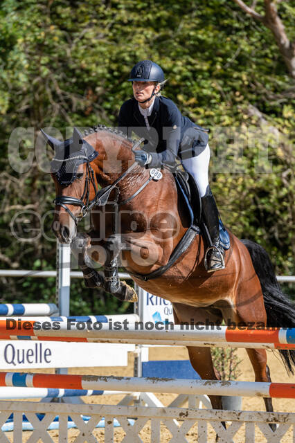 RFV Dinslaken-Hiesfeld (Herbstturnier)