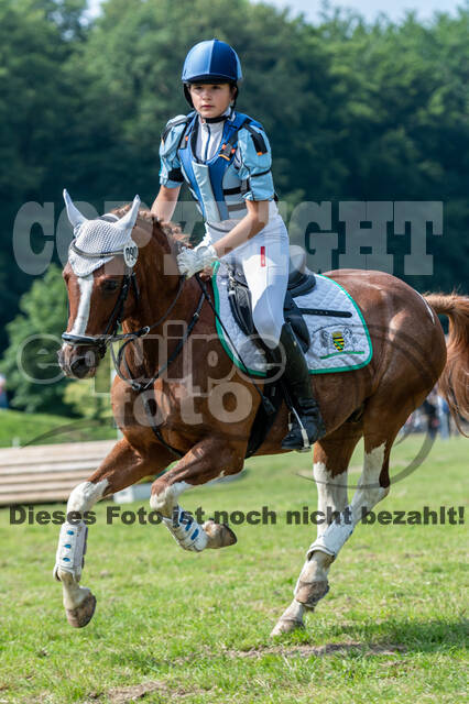 Goldene Schärpe 2021 - Ponys