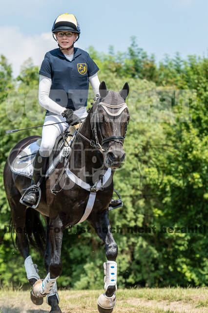 Goldene Schärpe 2021 - Ponys