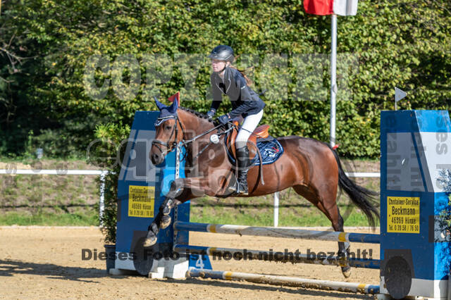 RFV Dinslaken-Hiesfeld (Herbstturnier)