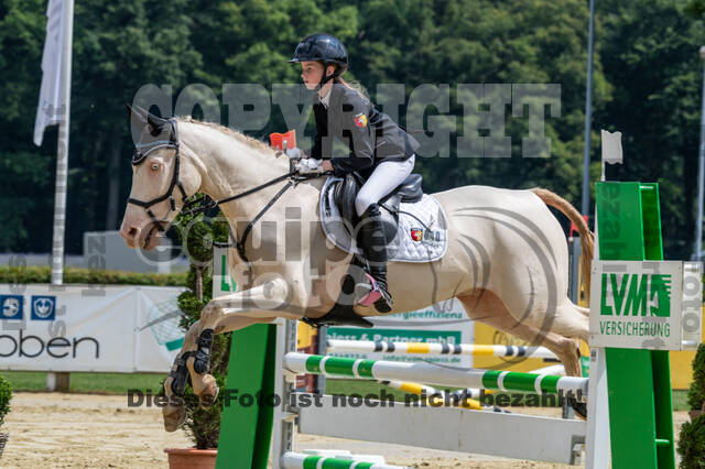 Goldene Schärpe 2021 - Ponys
