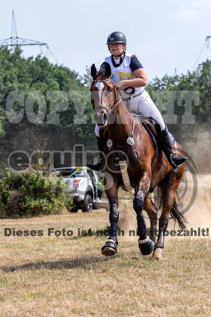Late-Entry Vielseitigkeit Hamminkeln/Wesel (01.+02.08.2020)