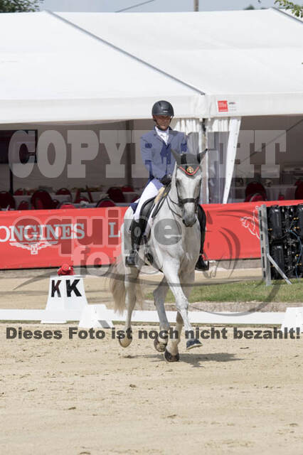 FEI European Championship Eventing 2017