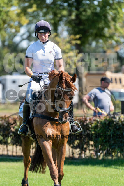 Kronenberg - De Peelbergen (August 2020)