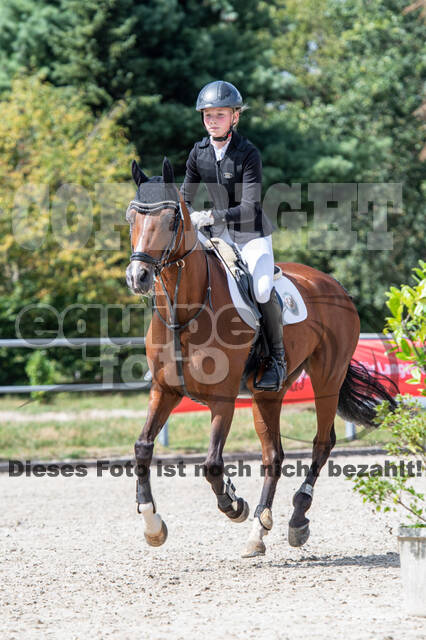 Landesturnier Rheinland, Vielseitigkeit, 22.+23.08.2020