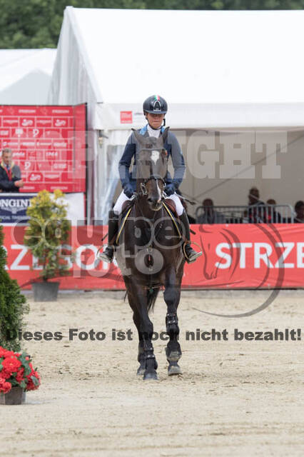 FEI European Championship