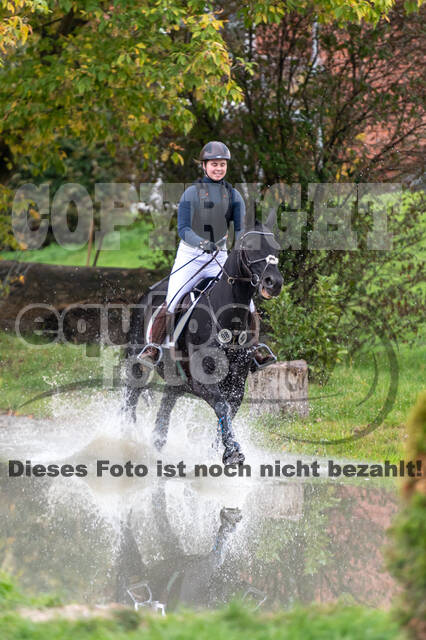 Goldene Schärpe 2020 - Pferde