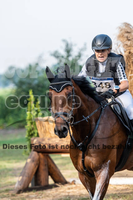 De Peelbergen (August 2020)