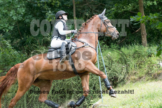 RFV Bad Honnef