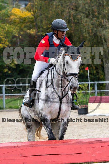 Goldene Schärpe 2020 - Pferde