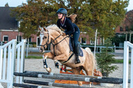 IGV Lehrgang der Sieger der Cups mit Frank Ostholt