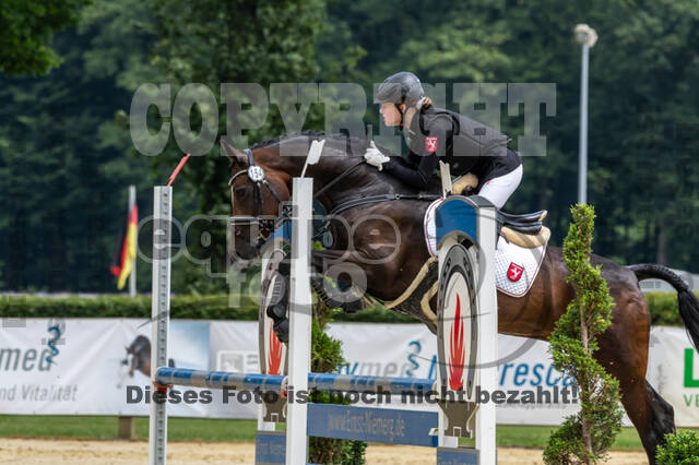 Goldene Schärpe 2021 - Ponys