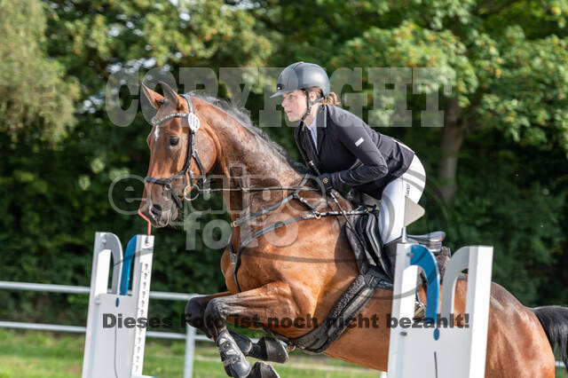 Late-Entry-Vielseitigkeit Langenfeld (06.+07.07.2020)