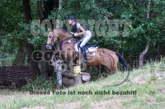 Late-Entry Vielseitigkeit Hamminkeln/Wesel (01.+02.08.2020)