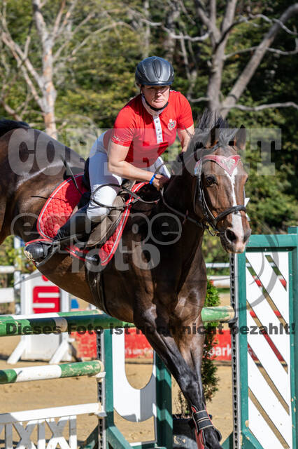 RFV Dinslaken-Hiesfeld (Herbstturnier)