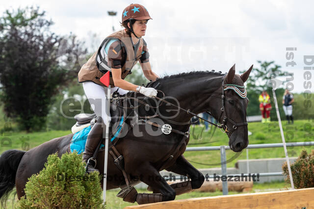 Late-Entry-Vielseitigkeit Langenfeld (06.+07.07.2020)