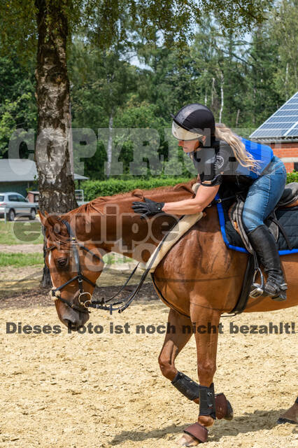 Hunter Geländetraining 10.07.2021 (Sonsbeck)