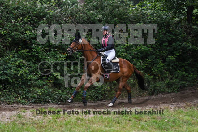 Late-Entry-Vielseitigkeit Langenfeld (11.+13./14.06.2020)