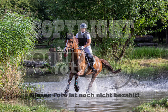 Late-Entry Vielseitigkeit Hamminkeln/Wesel (01.+02.08.2020)