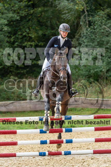 Vielseitigkeit RSV Wesel Obrighoven (26.+27.09.2020)