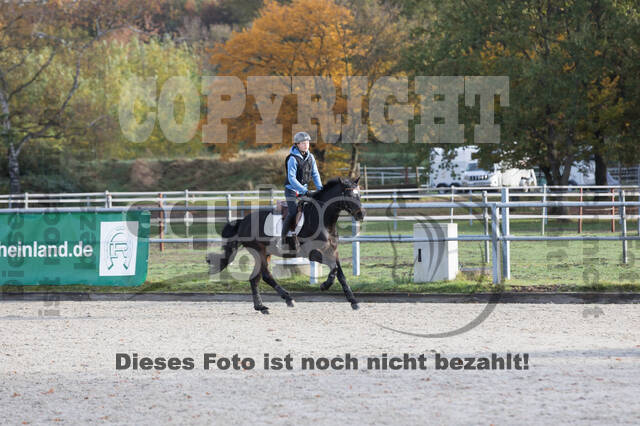 IGV Lehrgang der Sieger der Cups mit Frank Ostholt