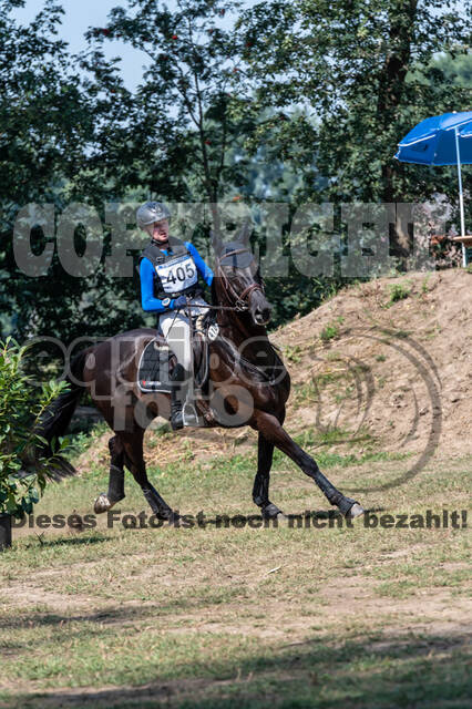 De Peelbergen (August 2020)