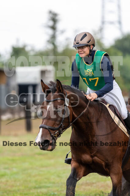 Vielseitigkeit RSV Wesel Obrighoven (26.+27.09.2020)