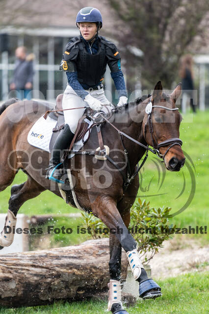 Goldene Schärpe 2020 - Pferde