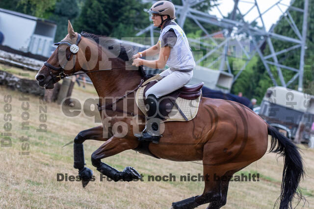 Late-Entry Vielseitigkeit Hamminkeln/Wesel (01.+02.08.2020)